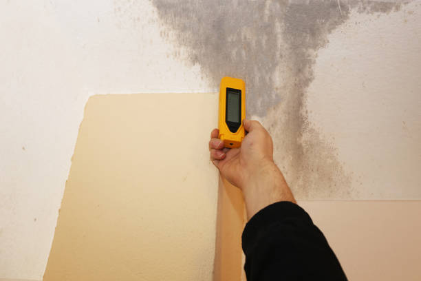 Best Post-Construction Mold Inspection  in Graysville, AL