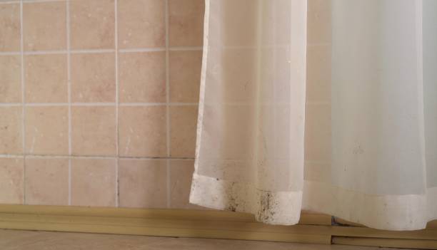 Best Air Quality Testing for Mold Spores  in Graysville, AL