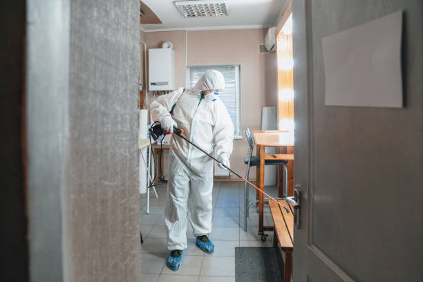 Best Biohazard Mold Removal  in Graysville, AL