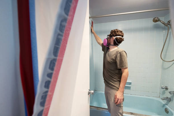 Best Mold Odor Removal Services  in Graysville, AL