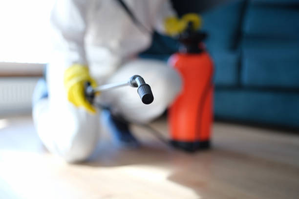Best Dehumidification Services  in Graysville, AL